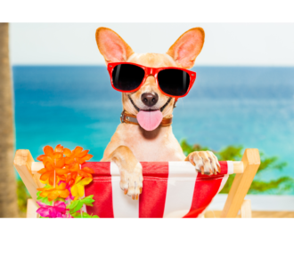 Post vacay blues: Reasons why you might feel depressed after a vacation